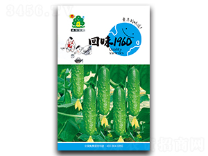 ��ζ1960-�S�ϷN��-�Έ@����