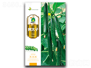 �S̫��-�S�ϷN��-�Έ@����