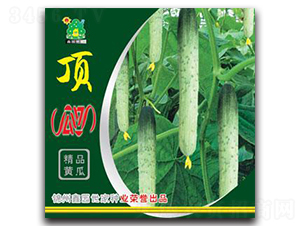 頂瓜瓜-黃瓜種子-鑫園世家