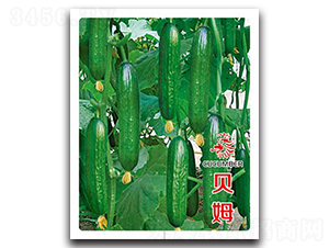 ؐķ-�S�ϷN��-�Έ@����