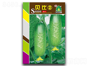 貝比2-黃瓜種子-鑫園世家