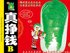 ����XB-�ײ˷N��-�Έ@����