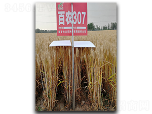 ���r(n��ng)307-С���N��