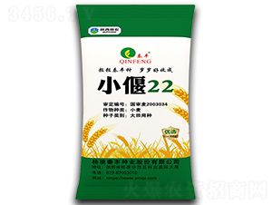 С��22-С���N��