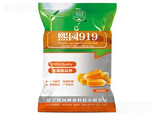 ���@919-���׷N��-���@�N�I(y��)