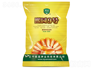 ���@9̖(h��o)-���׷N��-���@�N�I(y��)