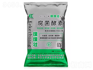 ��������-ɽ���¿�