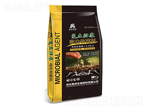 ΢�������-��(f��)���w��-�۰�����