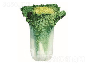 �S��58-�S�İײ˷N��-�¸�