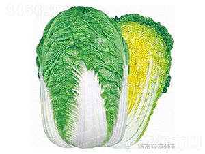 �r(n��ng)��27-��ײ˷N��-�¸�