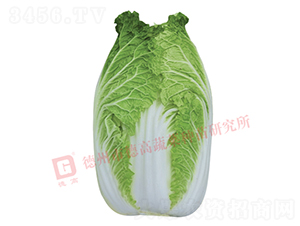 �����[���ײ�-CR1006-��ײ˷N��-�¸�