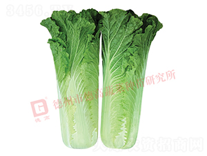 �����[���ײ�-CR359-��ײ˷N��-�¸�