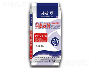 ���ď�(f��)ø���С����19-21-5-�d���G