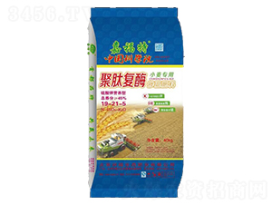 ���ď�øС�����Ó����19-21-5-�θ���