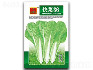 ���36-�~�˷N��-���d�N�I(y��)