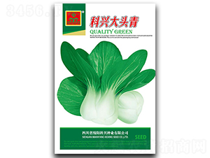 ���d���^��-�~�˷N��-���d�N�I(y��)