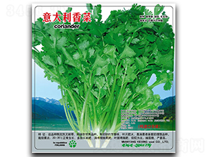 ��������-�~�˷N��-���d�N�I(y��)