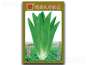 ����������-�~�˷N��-���d�N�I(y��)