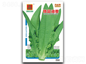 ��Ʒ������-�~�˷N��-���d�N�I(y��)