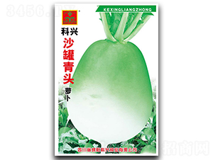 ɳ���i�^�}��-�}���N��-���d�N�I(y��)