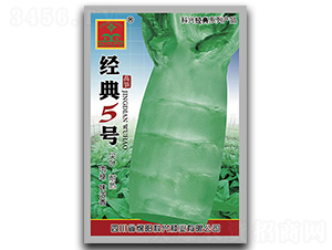 經(jīng)典五號-萵筍種子-科興種業(yè)