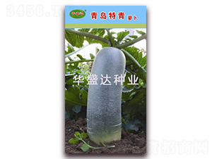 ���u����-�}���N��-�Aʢ�_(d��)