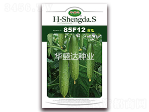 85F12�S��-�S�ϷN��-�Aʢ�_(d��)