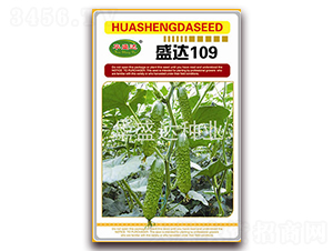 ʢ�_(d��)109-�S�ϷN��-�Aʢ�_(d��)