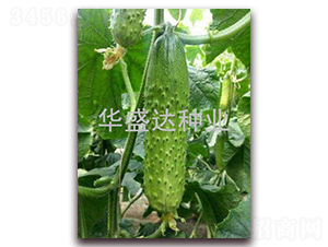 ʢ�_(d��)908-�S�ϷN��-�Aʢ�_(d��)