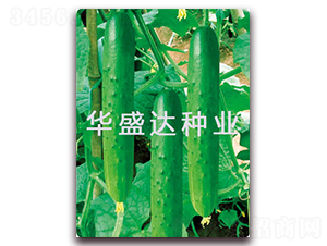 ���﹝(ji��)��-�S�ϷN��-�Aʢ�_(d��)