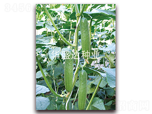 ʢ�_(d��)168-�S�ϷN��-�Aʢ�_(d��)