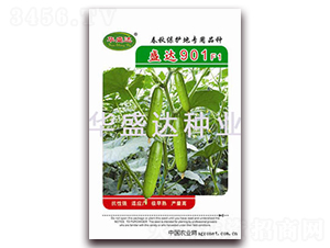 ʢ�_901F1-�S�ϷN��-�Aʢ�_