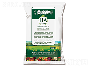 �VԴ�S�����-�и�����