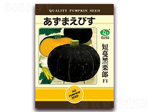 ����������-�ϹϷN��-�β���