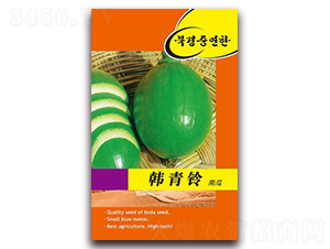 韓青鈴南瓜-南瓜種子-鑫博大