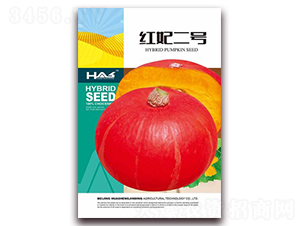 紅妃二號(hào)-南瓜種子-鑫博大