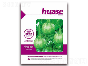 ��������Ϲ�-�ϹϷN��-�β���