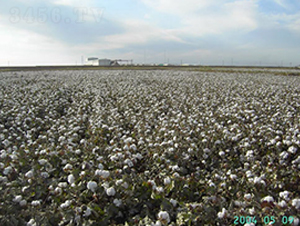 �º�35̖-�޻��N��-��ʥ�̷N�I(y��)