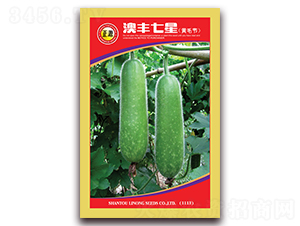 ���S���ǹ�(ji��)��-��(ji��)�ϷN��-�����r(n��ng)