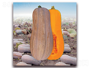 ���r2̖�۱��Ϲϣ�1245��-�ϹϷN��-�����r