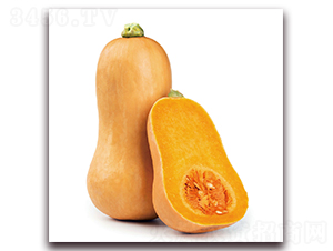 �����r�����Ϲϣ�1249��-�ϹϷN��-�����r