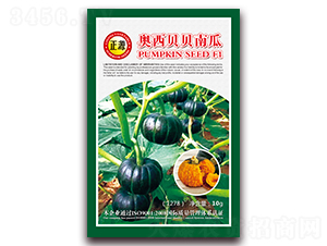 �W��ؐؐ�Ϲϣ�1278��-�ϹϷN��-�����r