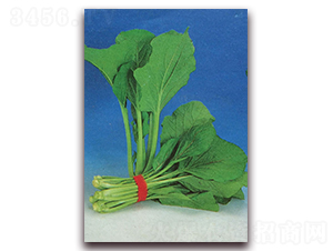 С�Ͳ˾G��-�Ͳ˷N��-�����S��