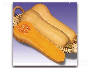 �S�������Ϲ�-�ϹϷN��-�����S��