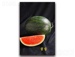 蜜寶-西瓜種子-金秋豐年