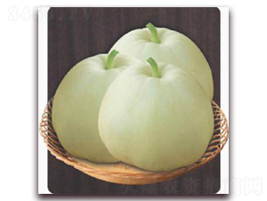 香妃-甜瓜種子-金秋豐年