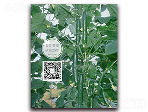 ���A��̖-�S�ϷN��-�¸ɾ�