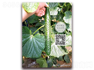 ��Ԫ��̖-�ܴ��S�ϷN��-�¸ɾ�