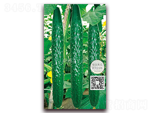 ׿Խ2̖-�ܴ��S�ϷN��-�¸ɾ�