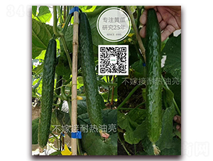 ���h-�ܴ��S�ϷN��-�¸ɾ�